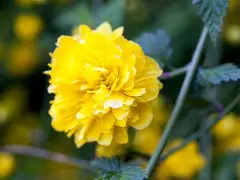 d壾w瓣俁?凙??mK的简单介绍 d壾w瓣俁?凙??mK的简单介绍